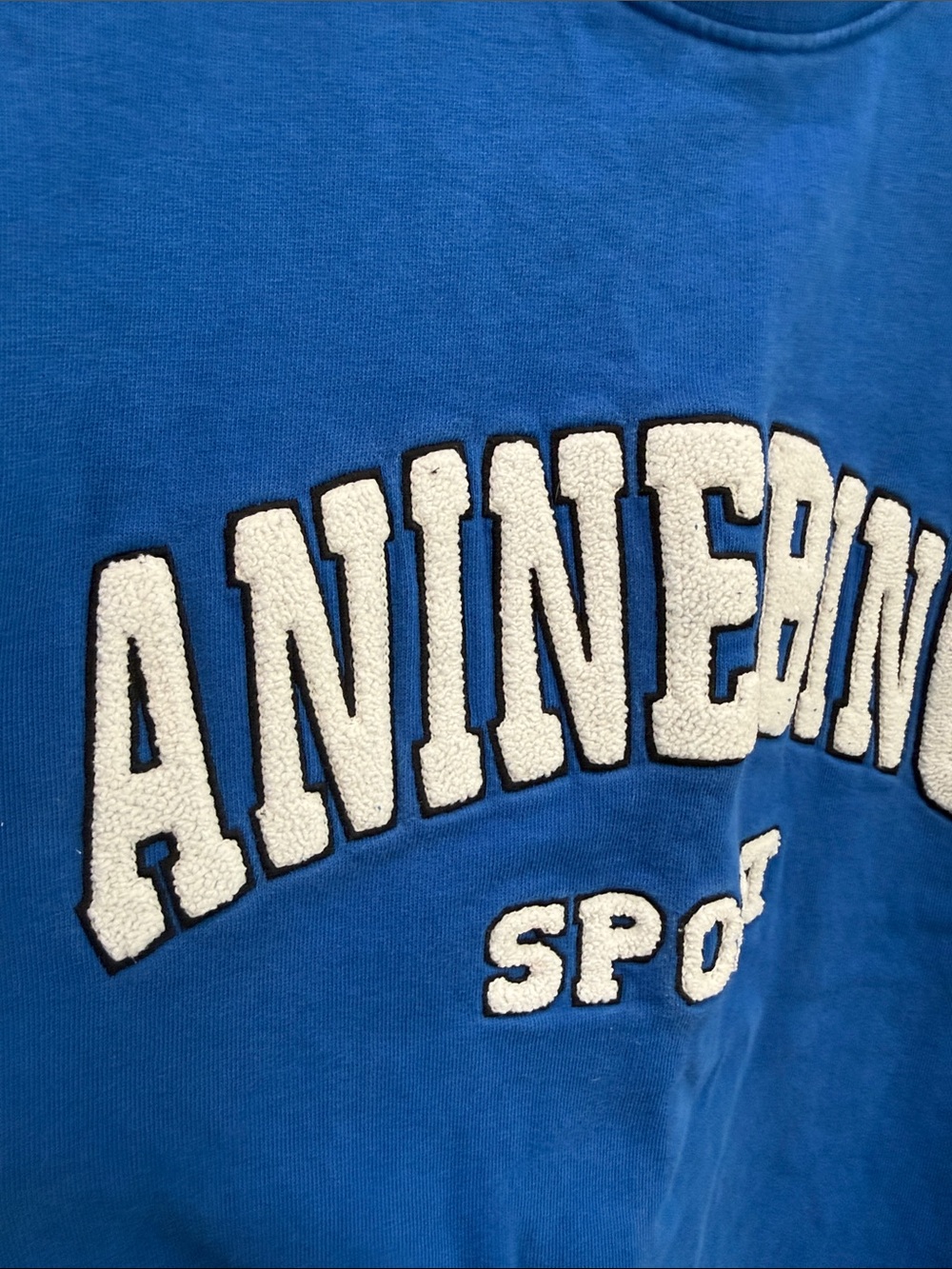 Anine Bing Blue Logo Crewneck Sweatshirt - Picture 3 of 7